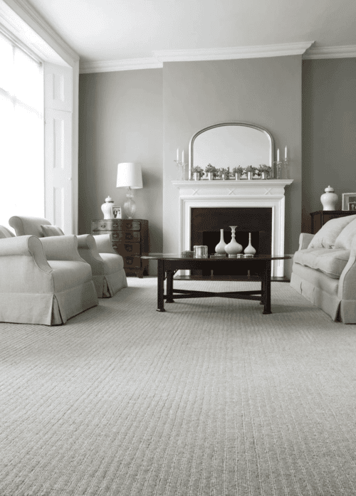 Elegant light grey and white living room with furniture and carpet